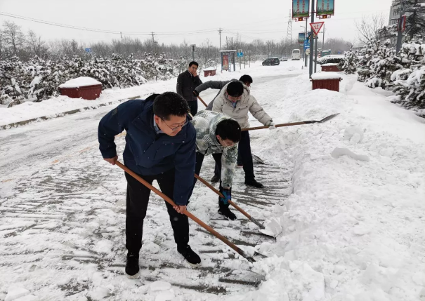 市產投集團組織全體員工掃雪除冰(圖2)